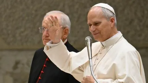 Ketegangan Global Merembet Ke Chicago Ancaman Bom Palsu Guncang Kediaman Kakak Paus Leo Xiv Di Tengah Polemik Trump Vatikan